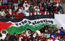 אוהדים במונדיאל 2022 עם דגל של פלסטין (צילום: רויטרס)