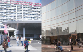 בית החולים תל השומר, בית החולים רמב"ם (צילום: גדעון מרקוביץ, פלאש 90,שי לוי, פלאש 90)