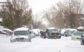 שלג בניו יורק (צילום: REUTERS/Carlos Osorio)