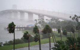 הוריקן פלורידה Photo by Sean Rayford - Getty Images) (צילום:  Sean Rayford/Getty Images)