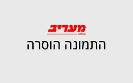 מעריב אונליין - זכויות יוצרים (צילום: מעריב אונליין)