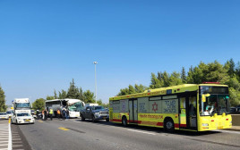 תאונת האוטובוס והמשאית בכביש 1 (צילום: דוברות מד"א)