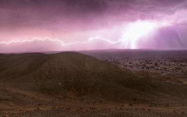 ברקים ורעמים בערבה התיכונה (צילום: פרדי נפתלי, הערבה התיכונה)