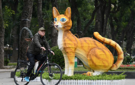 שנת החתול בויאטנם (צילום: gettyimages)
