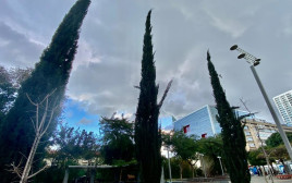 מזג אוויר מעונן בתל אביב (צילום: אבשלום ששוני)