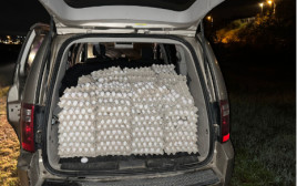 12,000 ביצים שהוברחו לתוך שטח ישראל  (צילום: דוברות המשטרה)