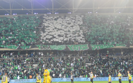 אוהדי האלופה צבעו את אצטדיון נתניה בירוק-לבן (צילום: ברני ארדוב)