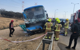 האוטובוס שהתדרדר לכביש בשל איבוד ההכרה של הנהג (צילום: דוברות מד"א)