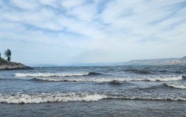 חוף צמח בכנרת  (צילום: ורד מנור, איגוד ערים כינרת)