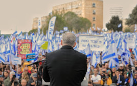 לפיד (צילום: אסי אפרתי )