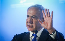 ביבז (צילום: נעם ריבקין פנטון, פלאש 90)