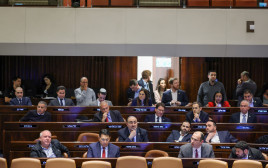 ההצבעה על שני הסעיפים הראשונים ברפורמה המשפטית (צילום: נועם מושקוביץ, דוברות הכנסת)