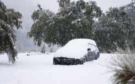 שלג כבד בקליפורניה (צילום: gettyimages)