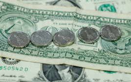 הדולר מול השקל, אילוסטרציה (צילום: מרק ישראל סלם)