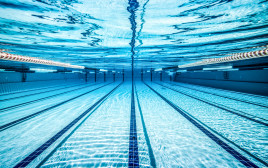 נשים יוכלו לשחות חשופות חזה בבריכות הציבוריות, כמו גברים (צילום: אינג'אימג')