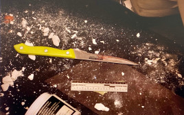 הסכין בה השתמש החשוד (צילום: דוברות המשטרה)