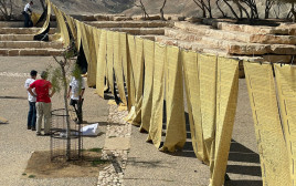 "חומה של עצמאות" מול קבר דוד בן גוריון (צילום: תום שינברג)