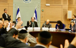 ועדת החוקה  (צילום: מרק ישראל סלם)