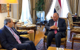שר החוץ המצרי סאמח שוכרי ושר החוץ הסורי פייסל אל-מקדאד (צילום: REUTERS)