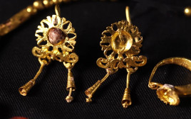 עגילי הזהב (צילום: אמיל אלג'ם, רשות העתיקות)