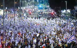הפגנה תל אביב  (צילום:  אריק מרמור, פלאש 90)