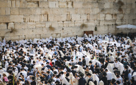 ברכת הכהנים בכותל (צילום: אריה ליב אברמס, פלאש 90)