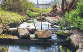 זיהום בנחל סעדיה (צילום: ד"ר יובל ארבל, עמותת צלול)