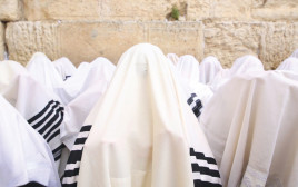 ברכת הכוהנים  (צילום: הקרן למורשת הכותל המערבי)