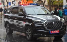 ניידת משטרה (צילום: יואב דודקביץ/TPS)