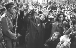 מעצר יהודים בבודפשט 1944 (צילום: Bundesarchiv.jpg)