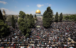 תפילת יום שישי האחרון של הרמדאן בהר הבית  (צילום: רויטרס)