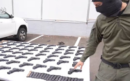 כוחות הביטחון סיכלו הברחת ענק של 63 אקדחים בנגב (צילום: דוברות המשטרה)