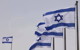 דגלי ישראל (צילום: מרק ישראל סלם)
