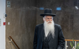 מאיר פרוש (צילום: אמיל סלמן/הארץ)