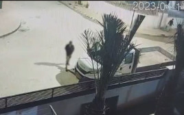 השלכת כוורת זיקוקים לבית בנגב  (צילום: צילום מסך, דוברות המשטרה)