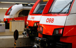 רכבות OEBB באוסטריה (צילום:  REUTERS/Leonhard Foeger)