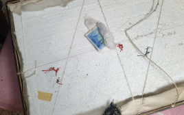 הכסף שהוסלק מאחורי התמונה בדירת החשוד (צילום: דוברות המשטרה)