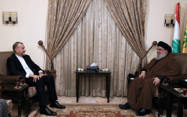 חסן נסראללה, חוסיין אמיר עבדוללהיאן (צילום: Hezbollah Media Office/Handout via REUTERS)