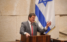 עמית הלוי (צילום: דני שם טוב, דוברות הכנסת)