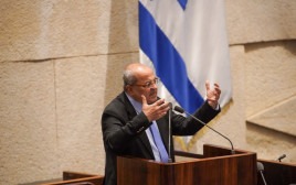 אחמד טיבי (צילום: דני שם טוב, דוברות הכנסת)