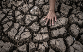 נאבקים במשבר האקלים (צילום: אינגאימג')