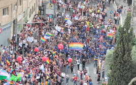 מצעד הגאווה בירושלים  (צילום: מלי דודקביץ/TPS)