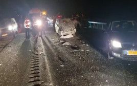 זירת התאונה הקטלנית בכביש 6 (צילום: דוברות מד"א)