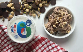 גלידת קוטג' בטעמי שוקולד וניל (צילום: עומר ישכיל)