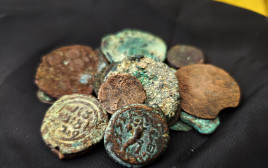 המטבעות העתיקים (צילום: רשות העתיקות)