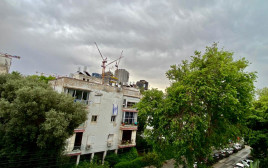 גשם  (צילום: אבשלום ששוני)