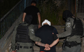 חשוד עצור על ידי שוטרים (צילום: דוברות המשטרה)