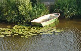 סירה  (צילום: יחצ)
