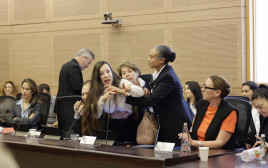 טלי גוטליב מורחקת מוועדת חוקה (צילום: מרק ישראל סלם)