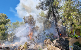 פעולות כיבוי בשריפה בסמוך לכפר אורנים (צילום: תיעוד מבצעי כב"ה)